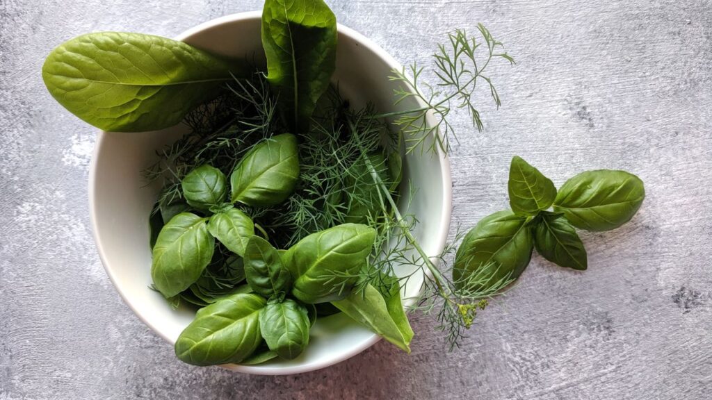 Top 10 Plants with Vegetables for a Healthy and Productive Garden